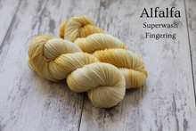 Load image into Gallery viewer, Dyed to Order • Noodles • Tomie dePaola Collection