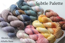 Load image into Gallery viewer, Dyed to Order • Full Skeins Set of 10 • Tomie dePaola Collection