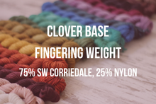 Load image into Gallery viewer, Dyed to Order Tonals • Clover Base • 75% Superwash Corriedale, 25% Nylon • Fingering Weight