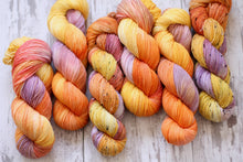 Load image into Gallery viewer, Dyed to Order • Indian Paintbrush • Tomie dePaola Collection