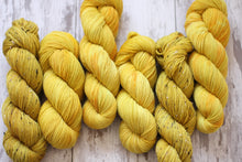 Load image into Gallery viewer, Dyed to Order • Luna Plena • Tomie dePaola Collection