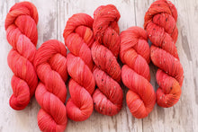 Load image into Gallery viewer, Dyed to Order • Big Anthony • Tomie dePaola Collection