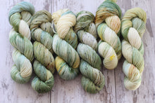 Load image into Gallery viewer, Dyed to Order • Pooka • Tomie dePaola Collection