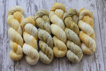 Load image into Gallery viewer, Dyed to Order • Noodles • Tomie dePaola Collection