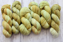 Load image into Gallery viewer, Dyed to Order • Cousin Bill • Tomie dePaola Collection