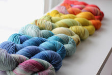 Load image into Gallery viewer, Dyed to Order • Full Skeins Set of 20 • Tomie dePaola Collection