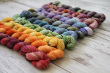 Load image into Gallery viewer, Dyed to Order • Entire Harry Potter Collection Mini Skeins