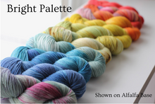 Load image into Gallery viewer, Dyed to Order • Full Skeins Set of 10 • Tomie dePaola Collection
