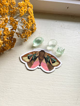 Load image into Gallery viewer, Pink Woodland Moth Magnet