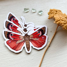 Load image into Gallery viewer, Red Woodland Moth Magnet
