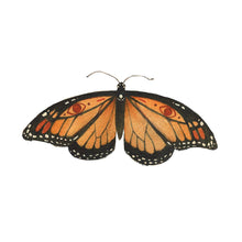 Load image into Gallery viewer, Monarch Sticker