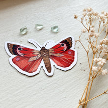Load image into Gallery viewer, Red Woodland Moth Magnet