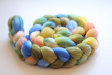Load image into Gallery viewer, Buonanotte • Merino Spinning Fiber • Ready to Ship