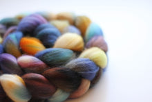 Load image into Gallery viewer, My Best Friend • Merino Spinning Fiber • Ready to Ship
