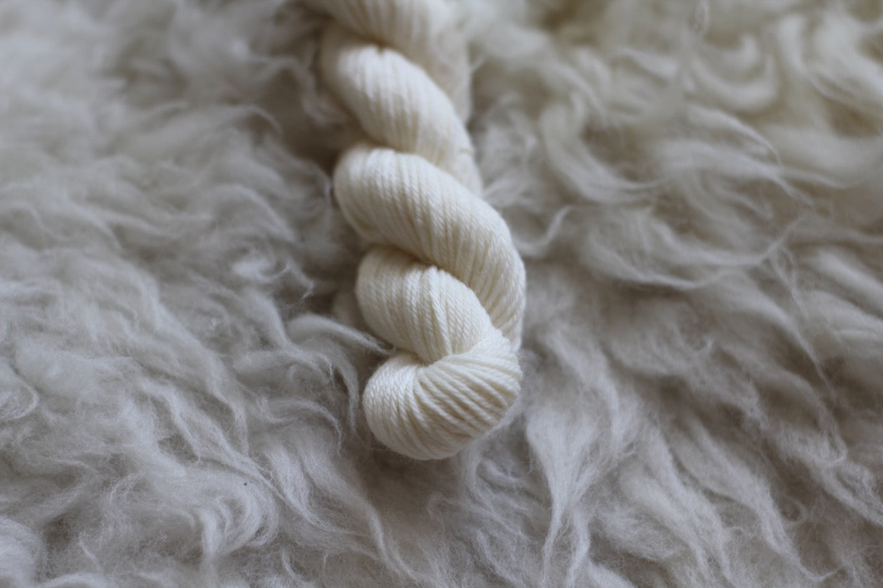 2024 Advent Calendar Jan Brett • 24 Mini Skeins + 1 Full Skein
