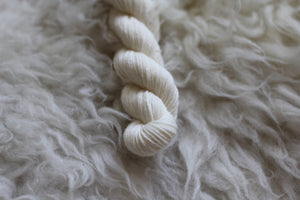 2025 Advent Calendar Jan Brett • 8 Mini Skeins + 1 Full Skein