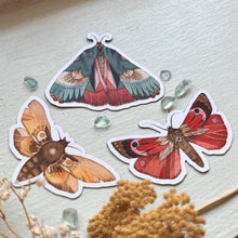 Load image into Gallery viewer, Red Woodland Moth Magnet