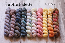 Load image into Gallery viewer, Tomie dePaola Collection 10 Mini Skeins • Dyed to Order