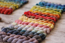 Load image into Gallery viewer, Dyed to Order • Mini Skeins Set of 20 • Tomie dePaola Collection