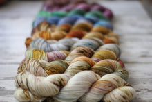 Load image into Gallery viewer, Dyed to Order • Entire Anne of Green Gables Collection • Full Skeins