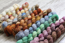 Load image into Gallery viewer, Dyed to Order • Entire Anne of Green Gables Collection Mini Skeins