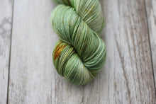 Load image into Gallery viewer, Bowtruckle • Alfalfa Base • Ready to Ship