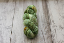 Load image into Gallery viewer, Bowtruckle • Alfalfa Base • Ready to Ship